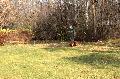 
035.JPG							