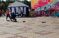 
061.JPG							