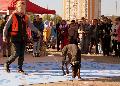 
061.JPG							
