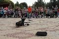 
080.JPG							