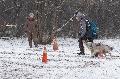 
063.JPG							