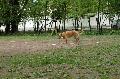 
051.JPG							