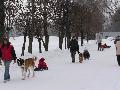 
052.JPG							