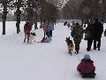 
064.JPG							