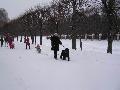 
038.JPG							