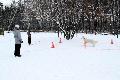 
069.JPG							