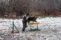 
080.JPG							