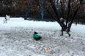 
041.JPG							