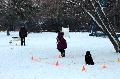 
047.JPG							