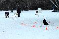 
048.JPG							