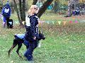 
053.JPG							