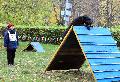 
051.JPG							