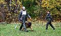 
063.JPG							