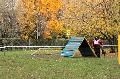 
072.JPG							