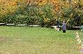 
041.JPG							