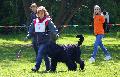 
080.JPG							