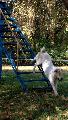 
062.JPG							