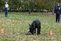 
080.JPG							
