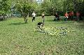
061.JPG							