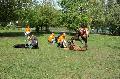 
080.JPG							