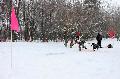 
080.JPG							