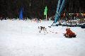 
042.JPG							