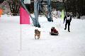 
070.JPG							