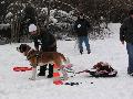 
048.JPG							