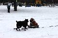 
070.JPG							