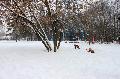 
061.JPG							