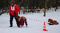 
060.JPG							
