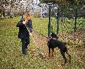 
061.JPG							