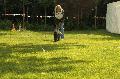 
051.JPG							