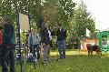 
070.JPG							