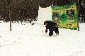 
049.JPG							