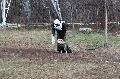 
082.JPG							