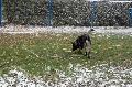 
040.JPG							