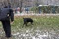 
041.JPG							