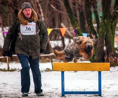 Алтухов