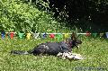 
062.JPG							