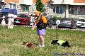 
072.JPG							
