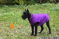 
045.JPG							