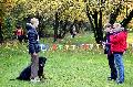 
012.JPG							