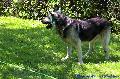 
106.JPG							