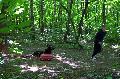 
012.JPG							