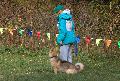 
071.JPG							